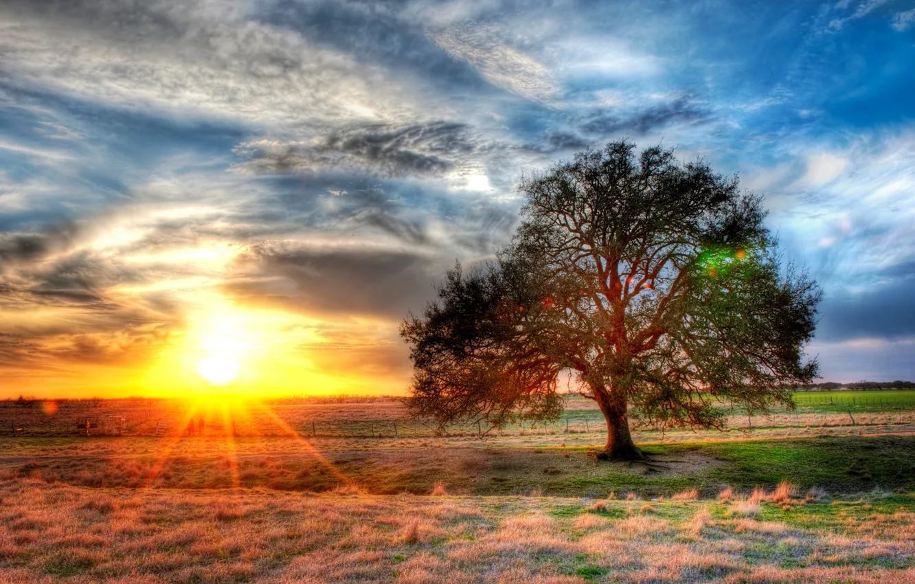 Photo wallpaper sunset, USA, sunset, Texas, farm, texas, farm, ranch