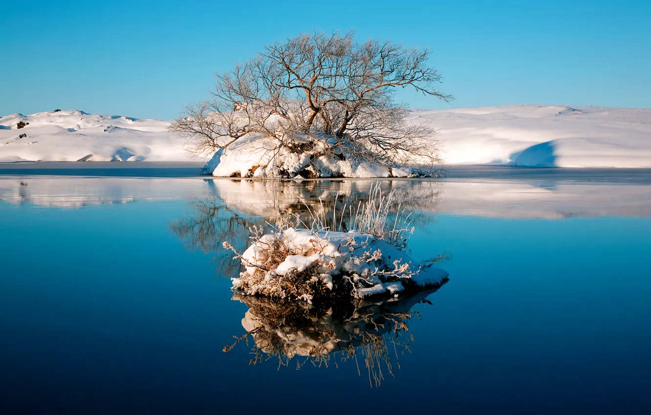 Photo wallpaper winter, the sky, water, lake, reflection, tree