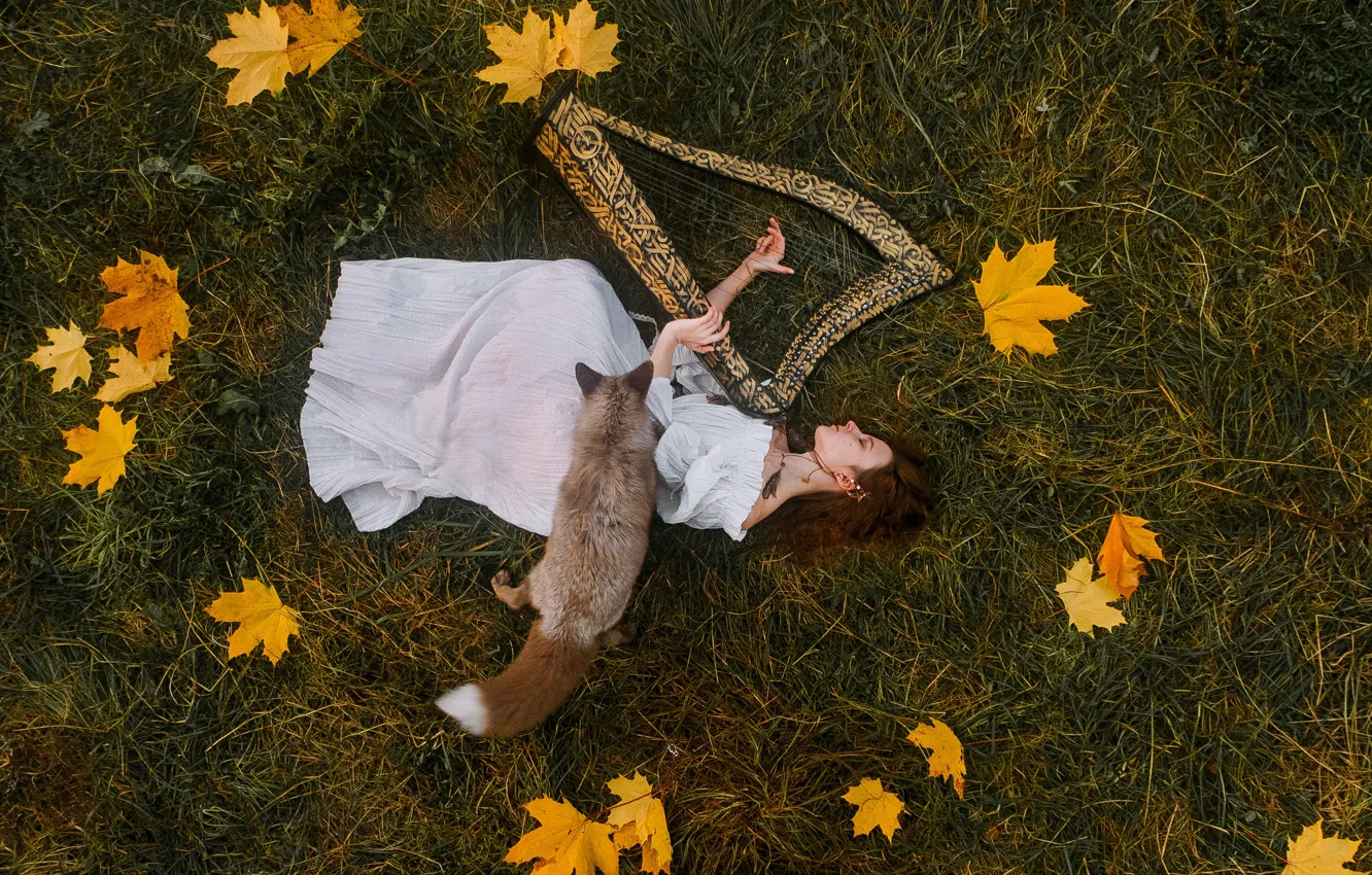 Photo wallpaper field, autumn, grass, leaves, girl, nature, dress, harp