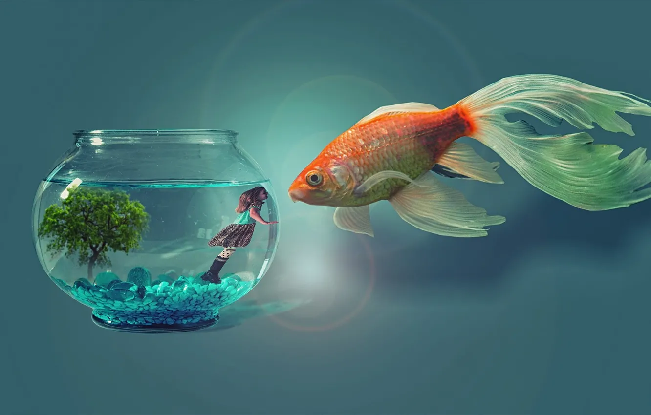 Photo wallpaper digital art, fish, artwork, photo manipulation, animal themes