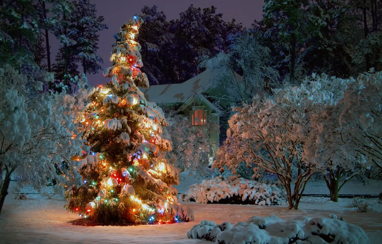 Photo wallpaper winter, snow, trees, night, house, holiday, spruce, tree