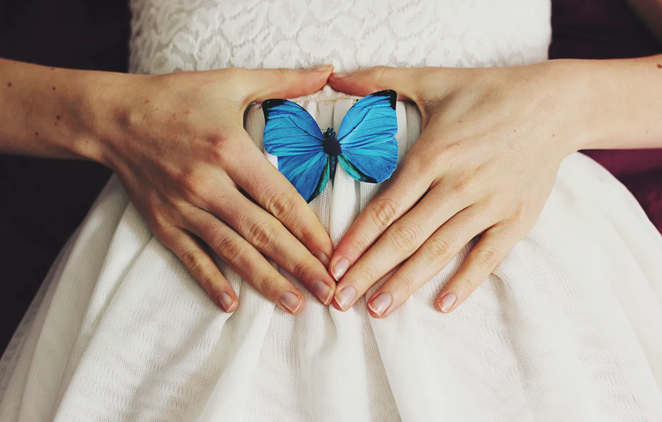 Photo wallpaper butterfly, wings, hands, blue