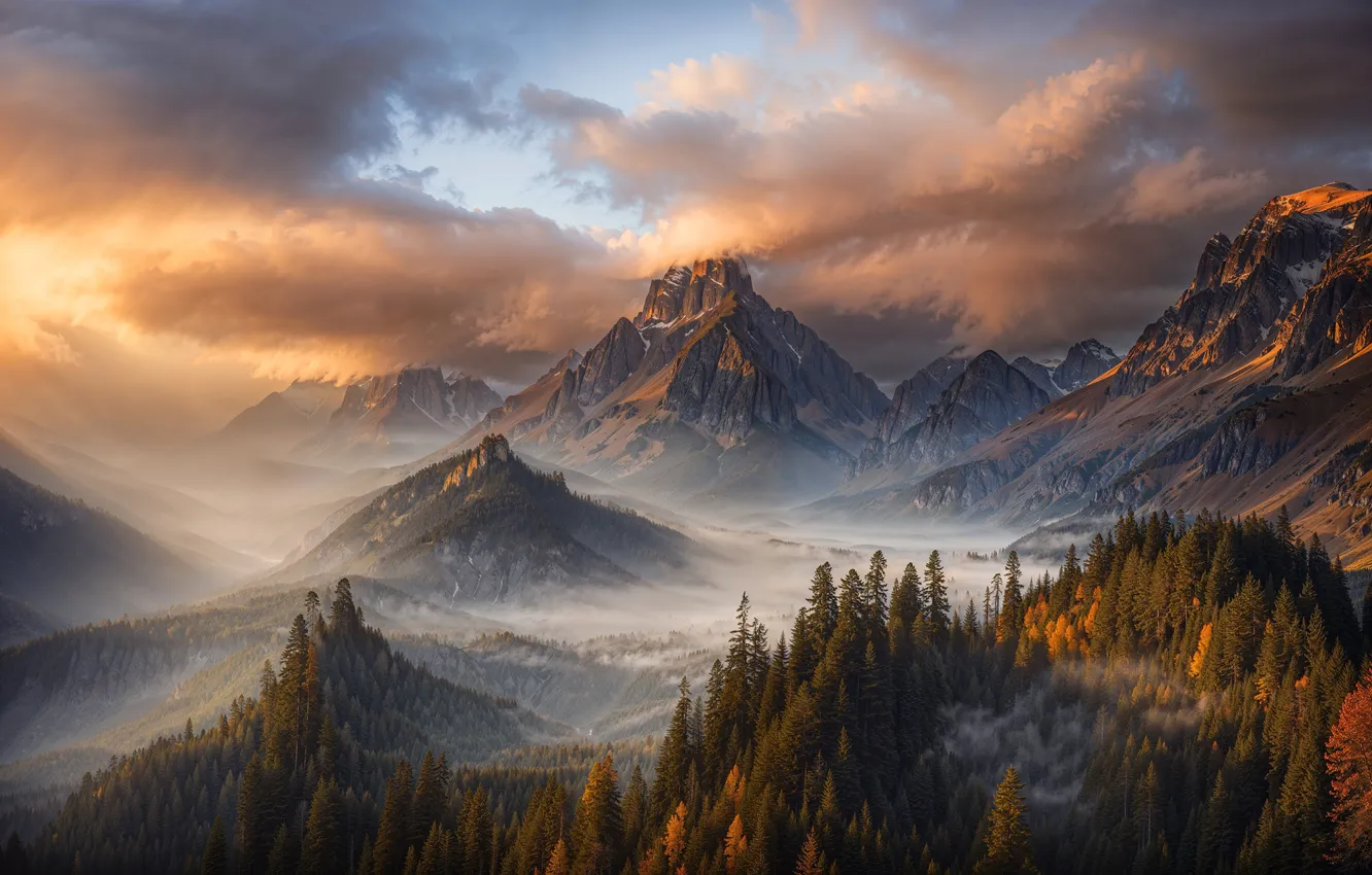 Photo wallpaper forest, clouds, mountains, nature, fog, tops, height, morning