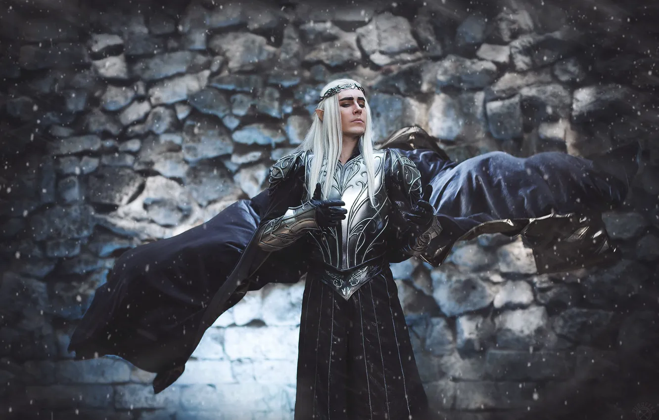 Photo wallpaper cloak, cosplay, The hobbit, Thranduil, King of the elves