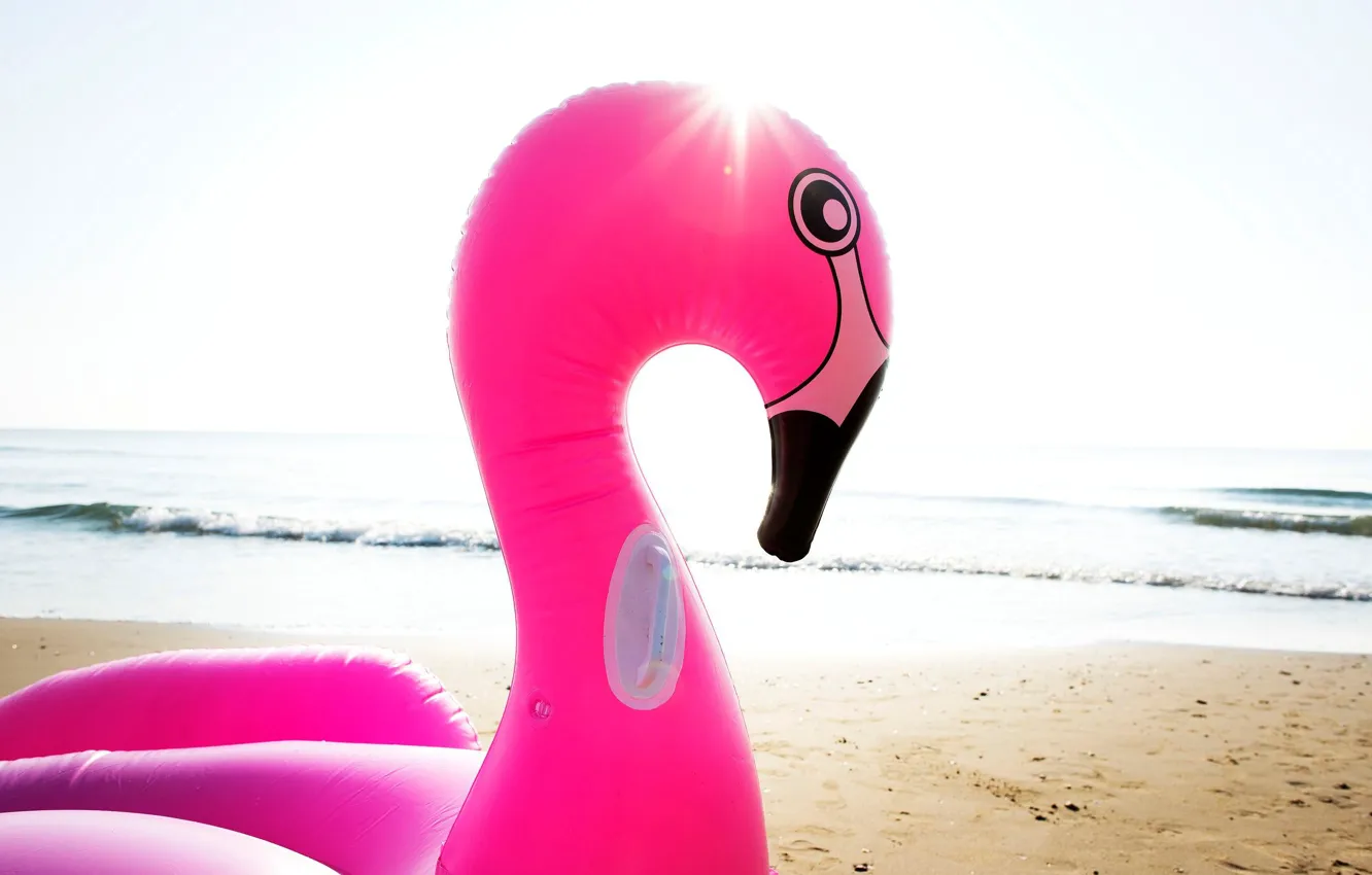 Photo wallpaper sea, beach, summer, rays, light, Flamingo, nadawca