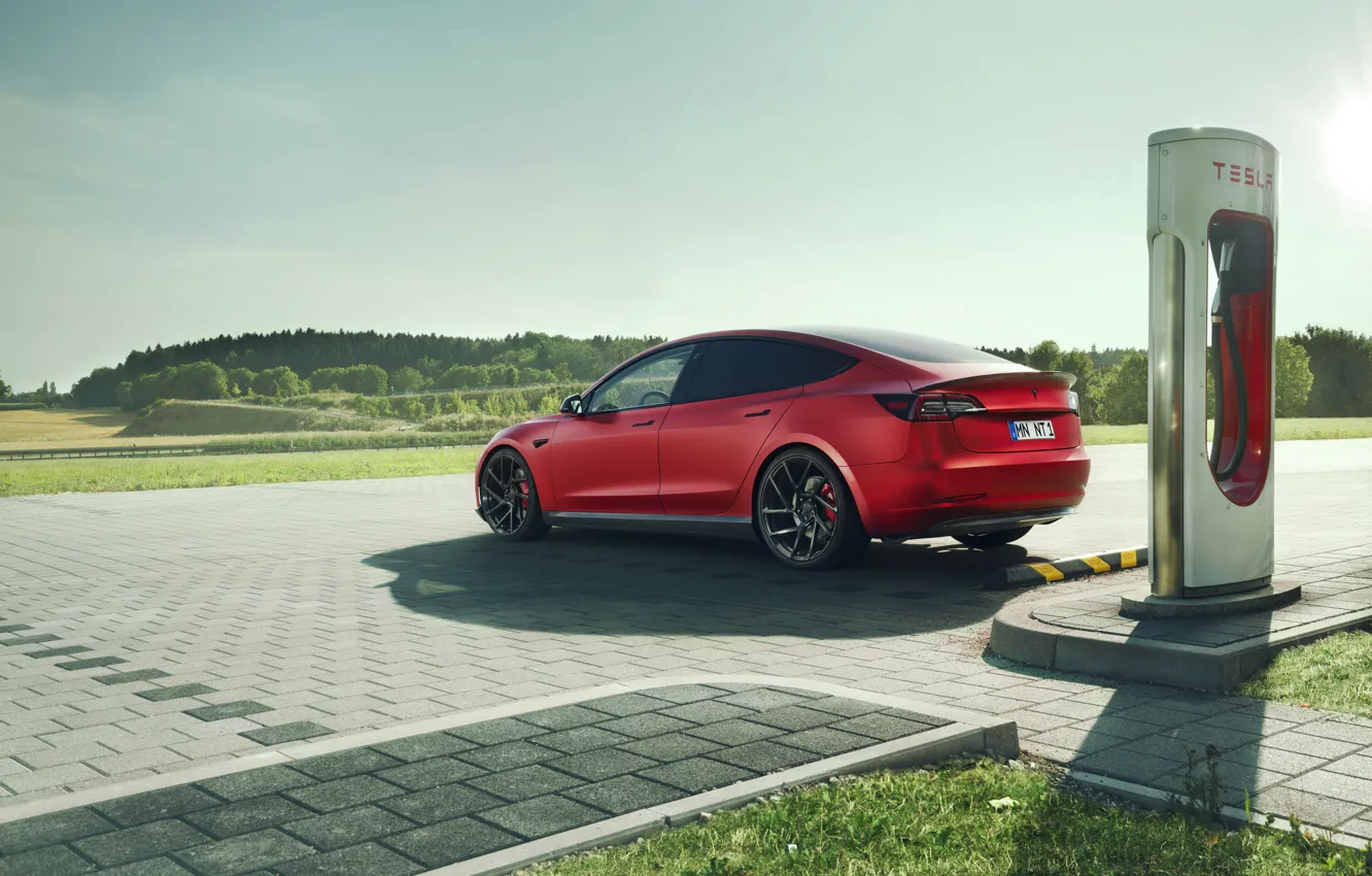 Photo wallpaper rear view, Tesla, Novitec, 2019, model 3