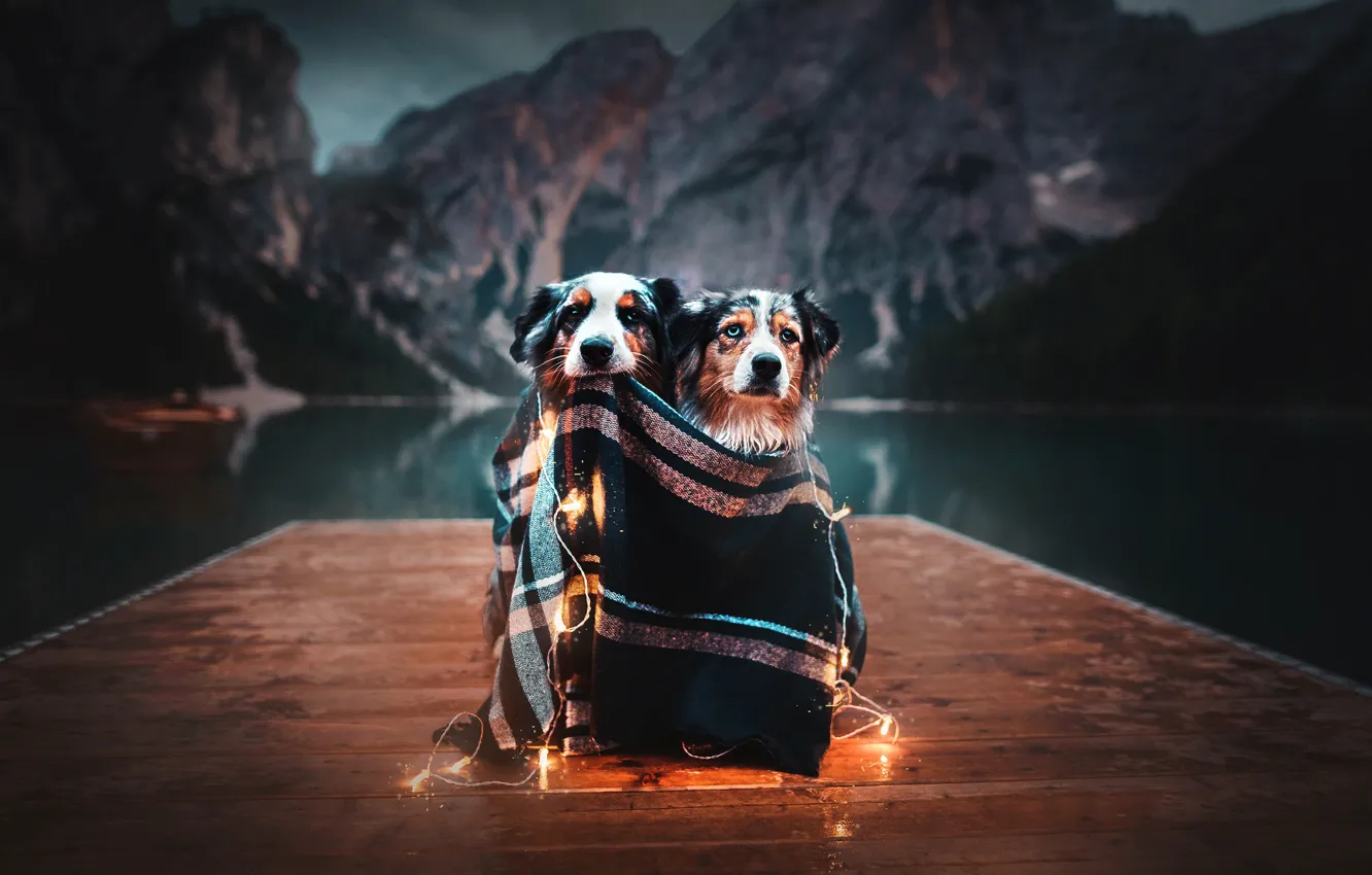 Photo wallpaper mountains, lake, mood, plaid, garland, a couple, light bulb, two dogs