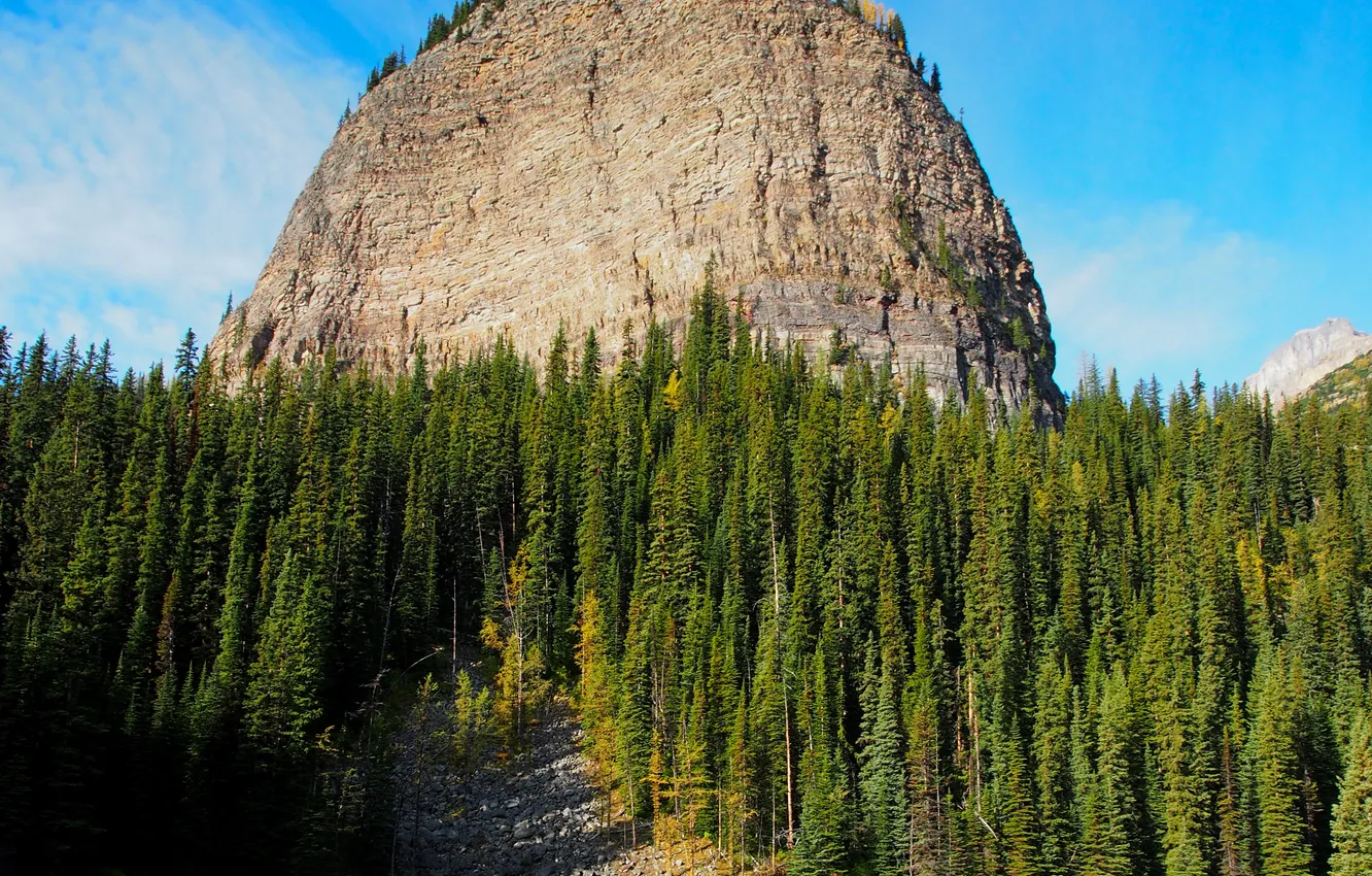 Photo wallpaper forest, trees, mountains, stones, rocks, Canada, Banff