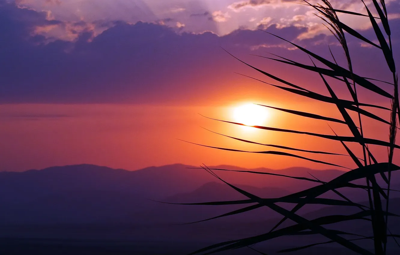 Photo wallpaper the sky, sunset, nature, silhouette