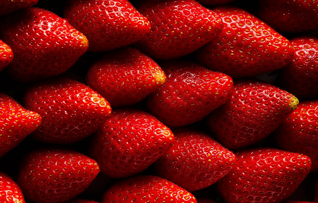 Photo wallpaper berries, in a row, the clinic