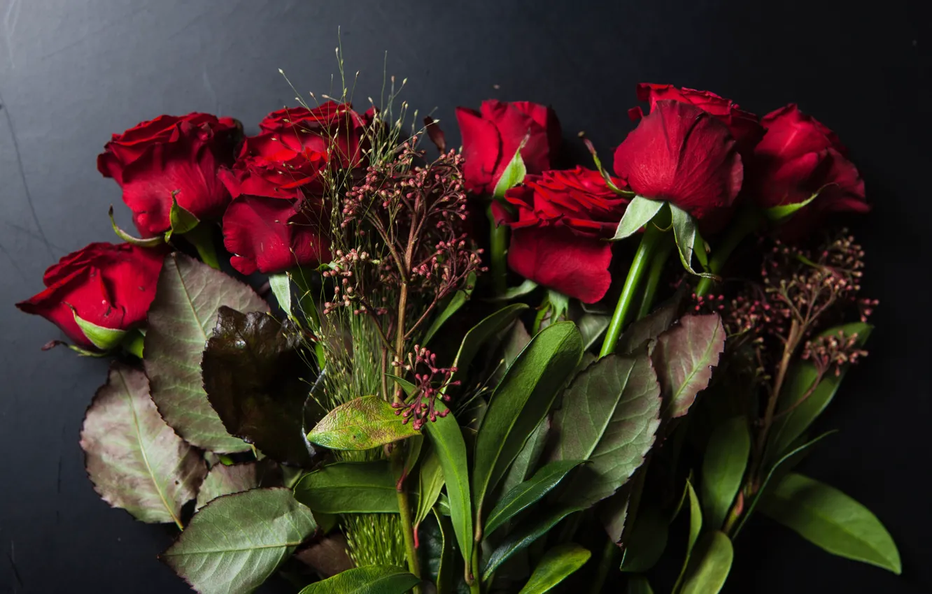 Photo wallpaper greens, the dark background, bouquet, red roses