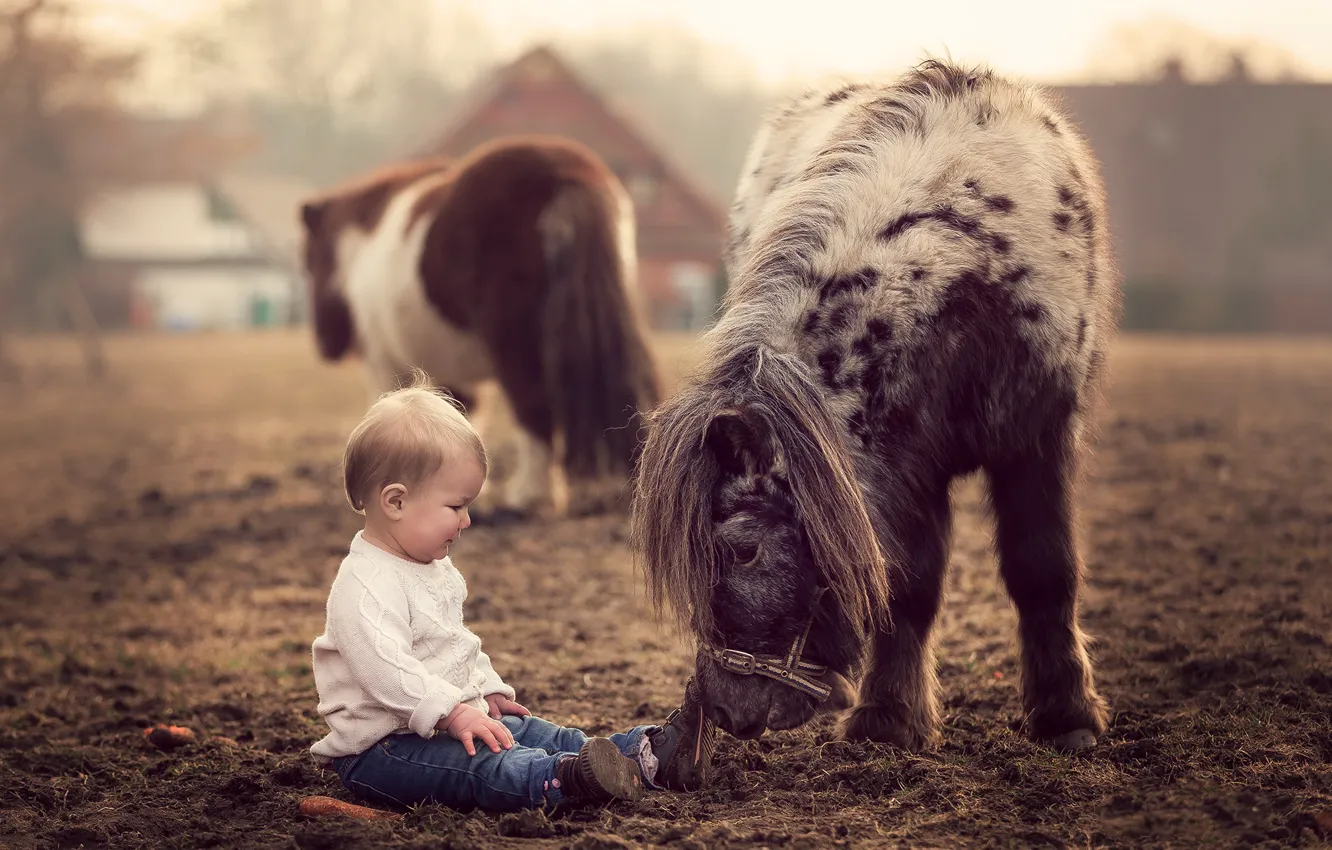 Photo wallpaper nature, boy, pony