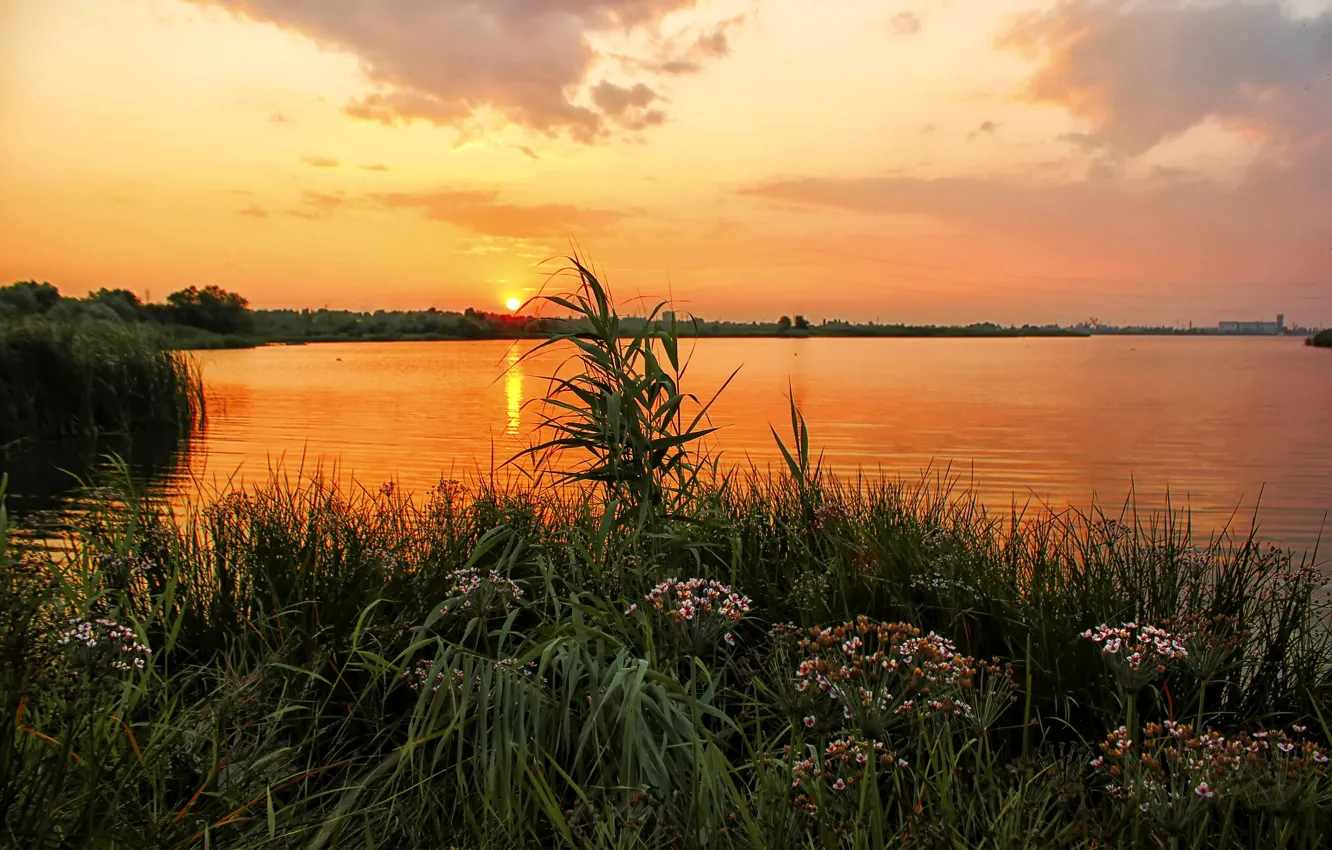 Photo wallpaper grass, sunset, flowers, river, shore, Russia, Ural