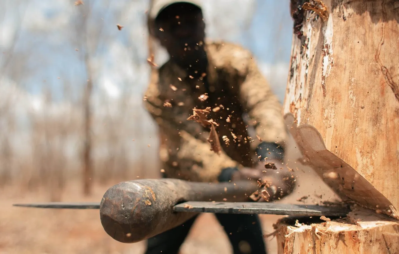 Photo wallpaper trees, blow, axe, loggers