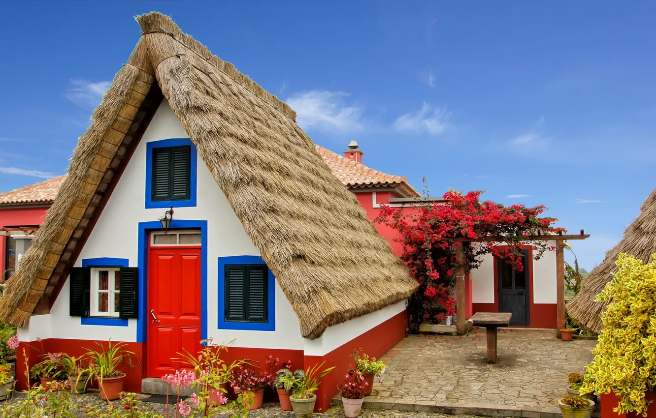 Photo wallpaper the sky, flowers, home