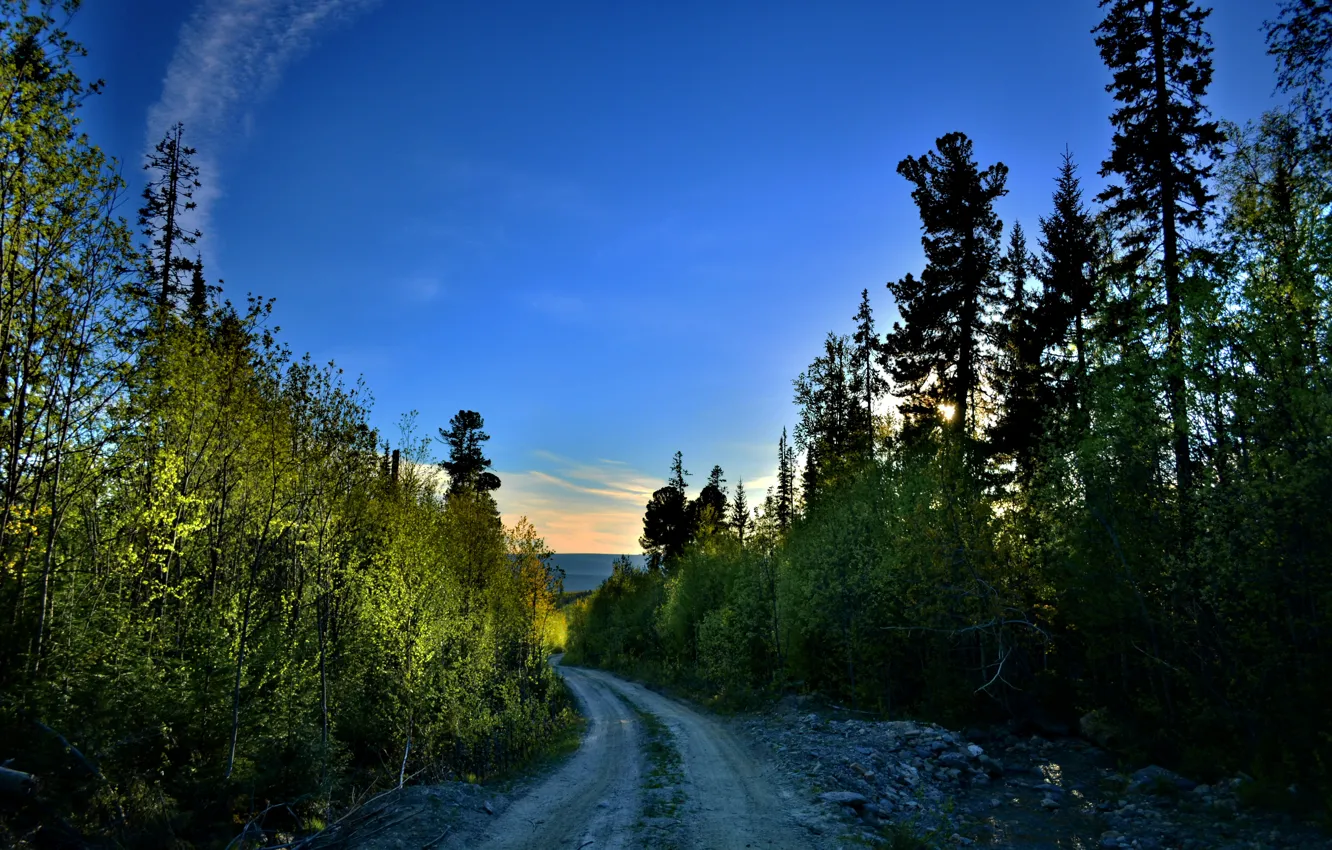 Photo wallpaper road, forest, Ural