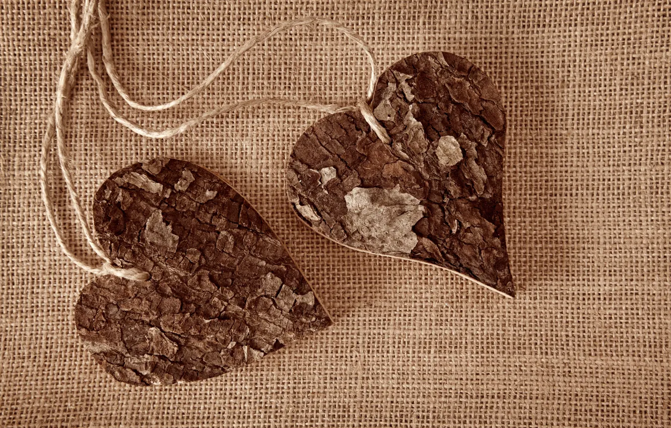 Photo wallpaper trees, heart, rope, hearts, fabric, bark