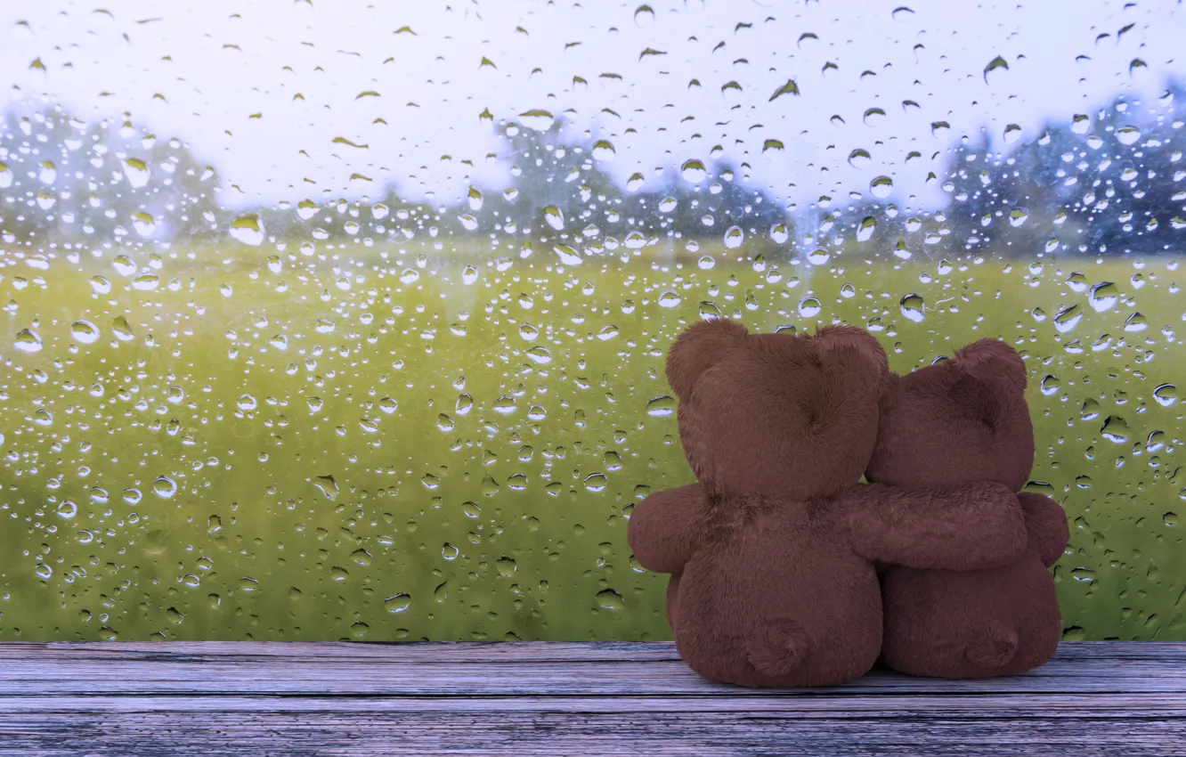 Photo wallpaper glass, drops, love, rain, bear, pair, love, rain