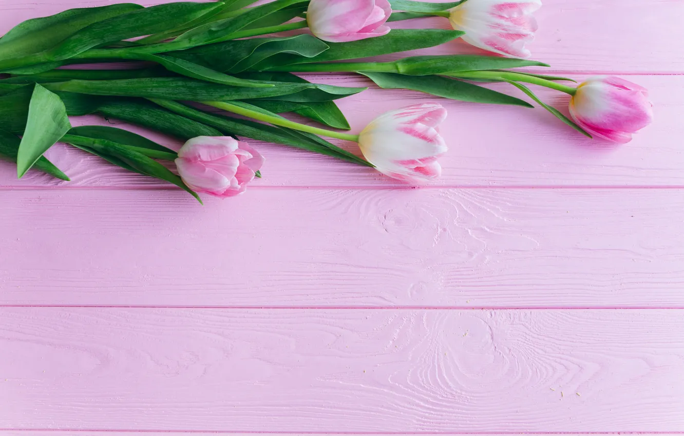 Photo wallpaper pink, Flowers, bouquet, tulips, wooden background