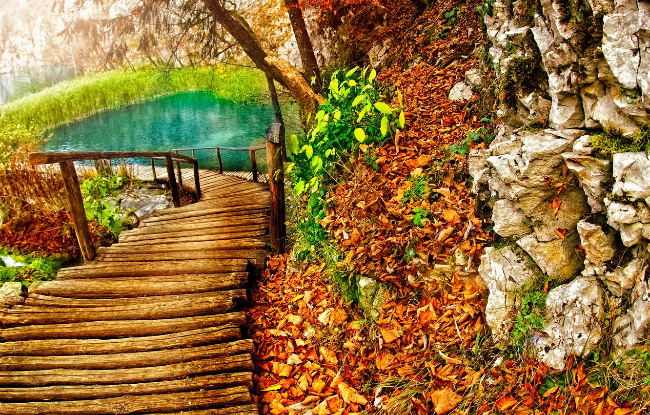Photo wallpaper road, leaves, lake