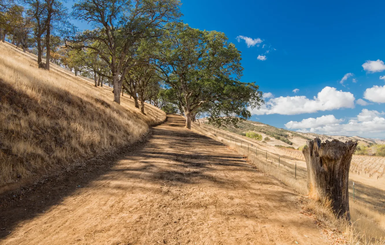 Photo wallpaper road, landscape, nature