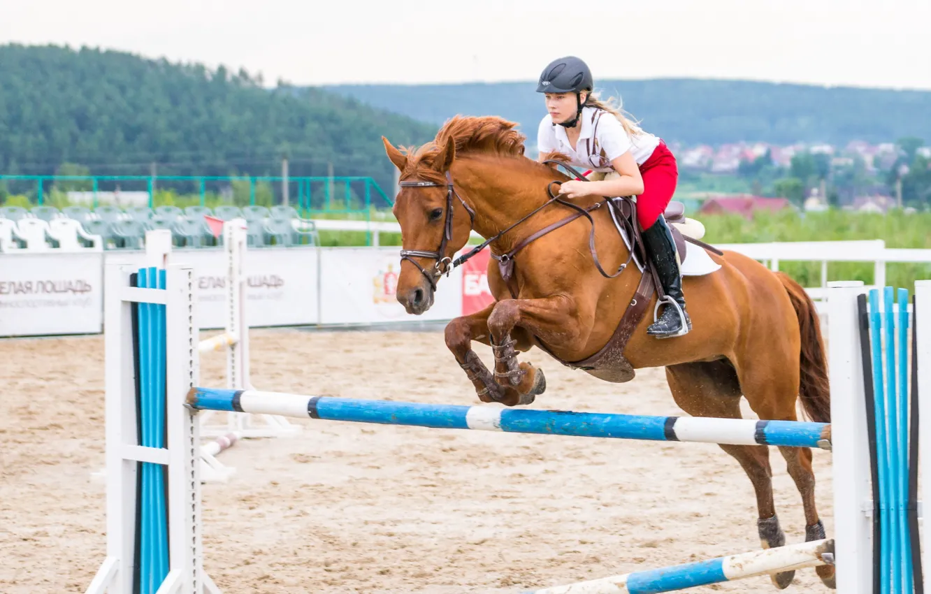 Photo wallpaper girl, horse, sport