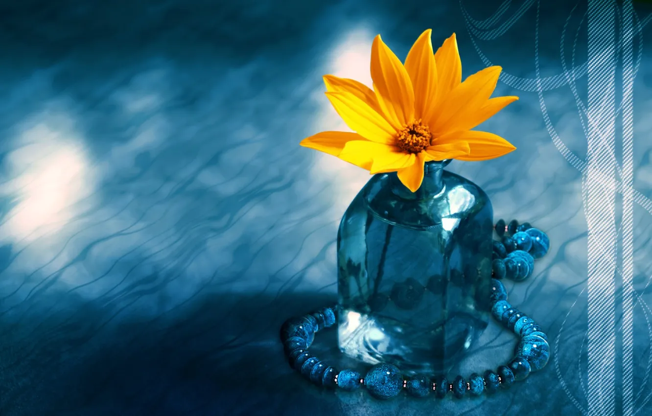 Photo wallpaper Flower, Blue, Yellow, Bottle