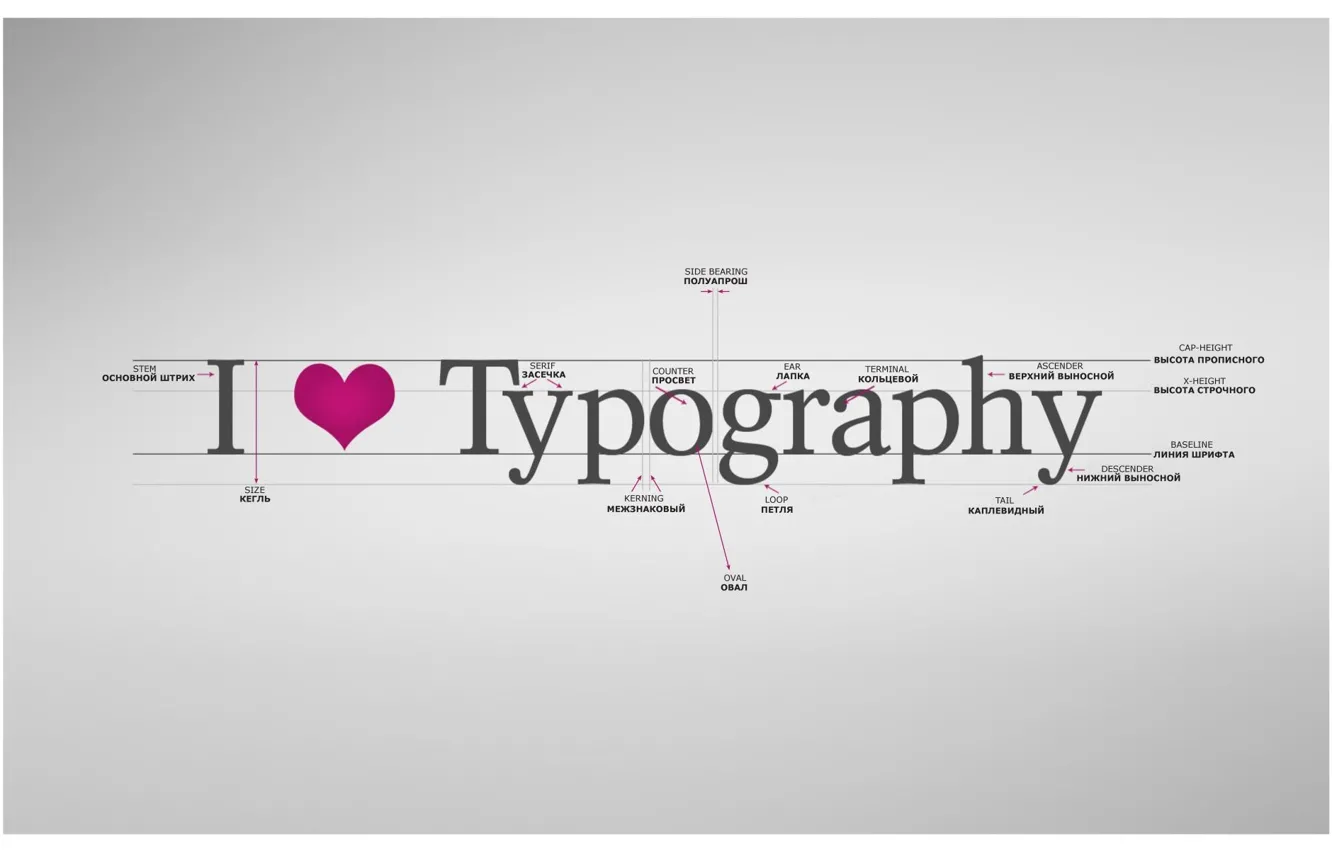 Photo wallpaper typography, label, I love typography