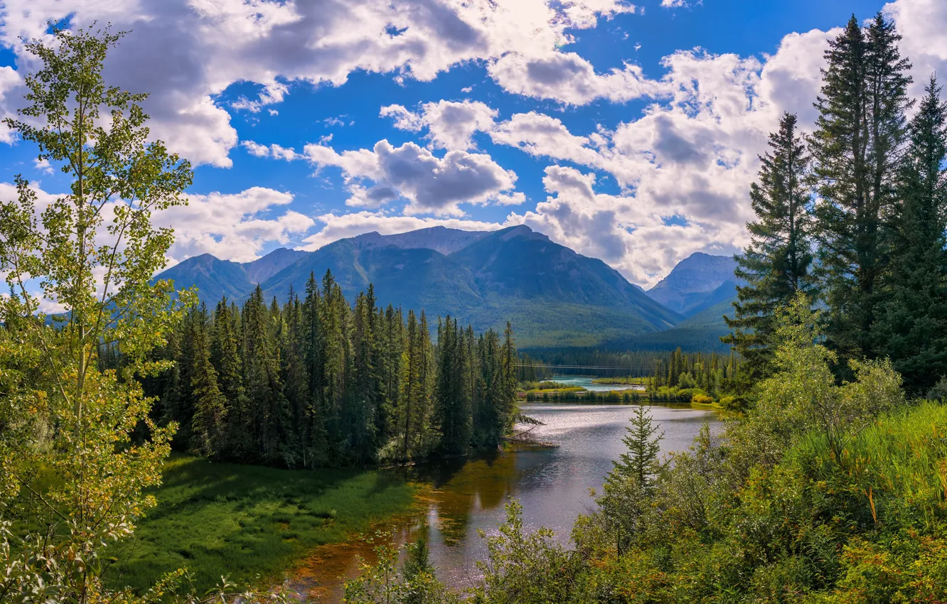 Photo wallpaper forest, clouds, mountains, nature, shore, Canada, Albert, pond