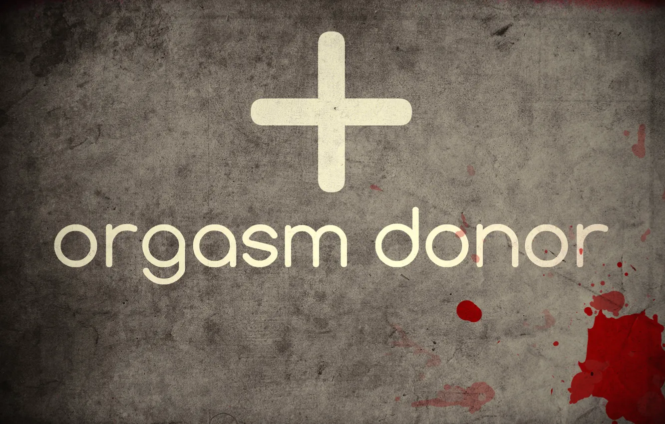 Photo wallpaper the inscription, minimalism, humor, Orgasm, donor, donor, orgasm, lifestyle