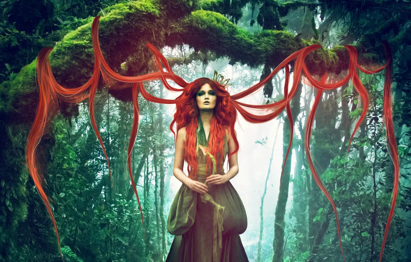 Photo wallpaper forest, look, trees, nature, face, fiction, hair, crown