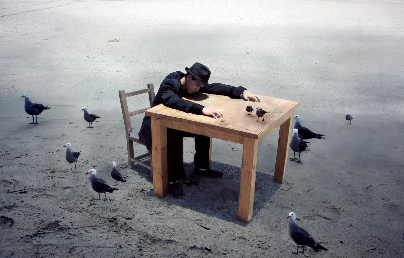 Photo wallpaper birds, table, the situation, guy