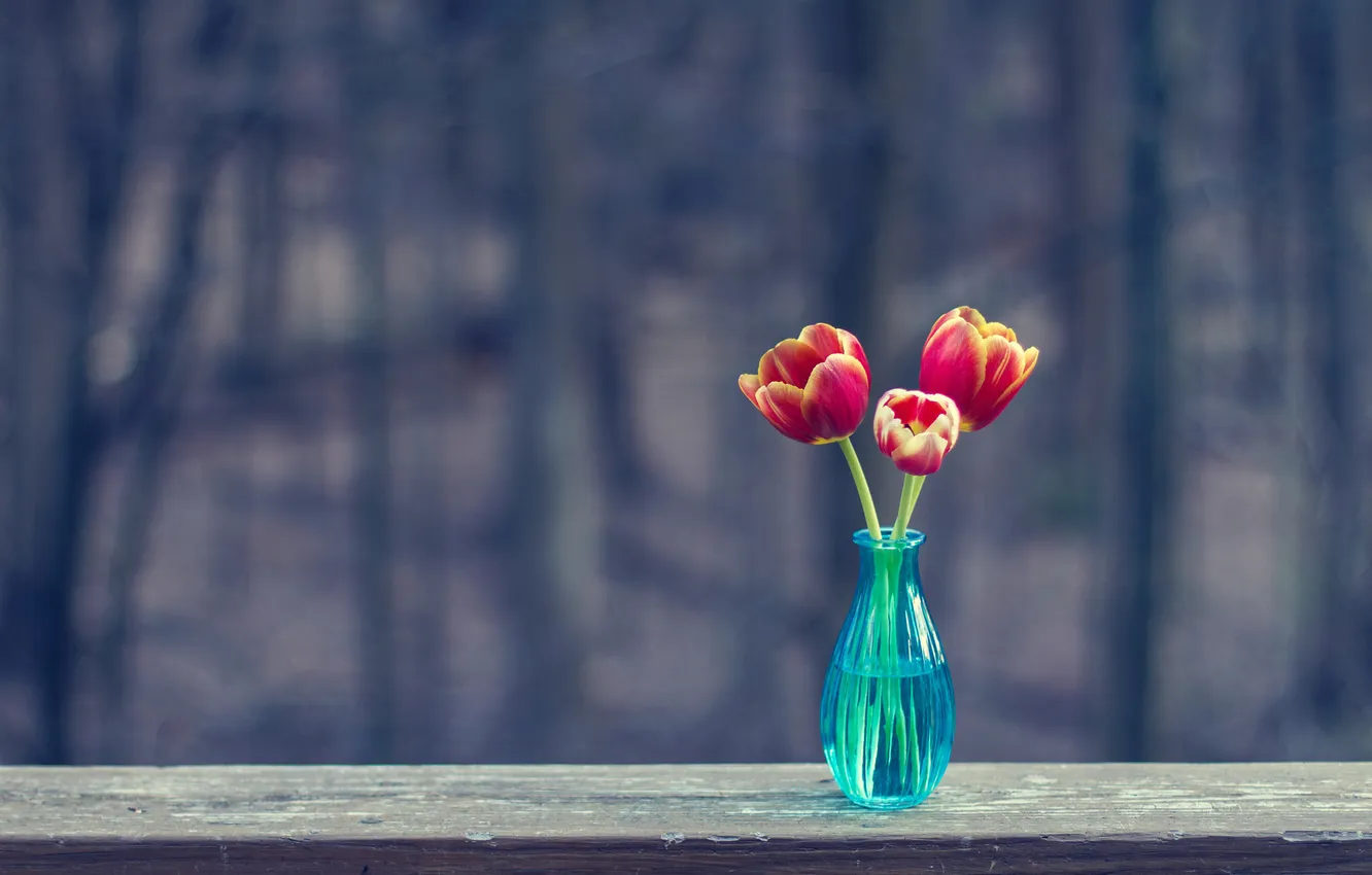 Photo wallpaper surface, tulips, three, vase, Board