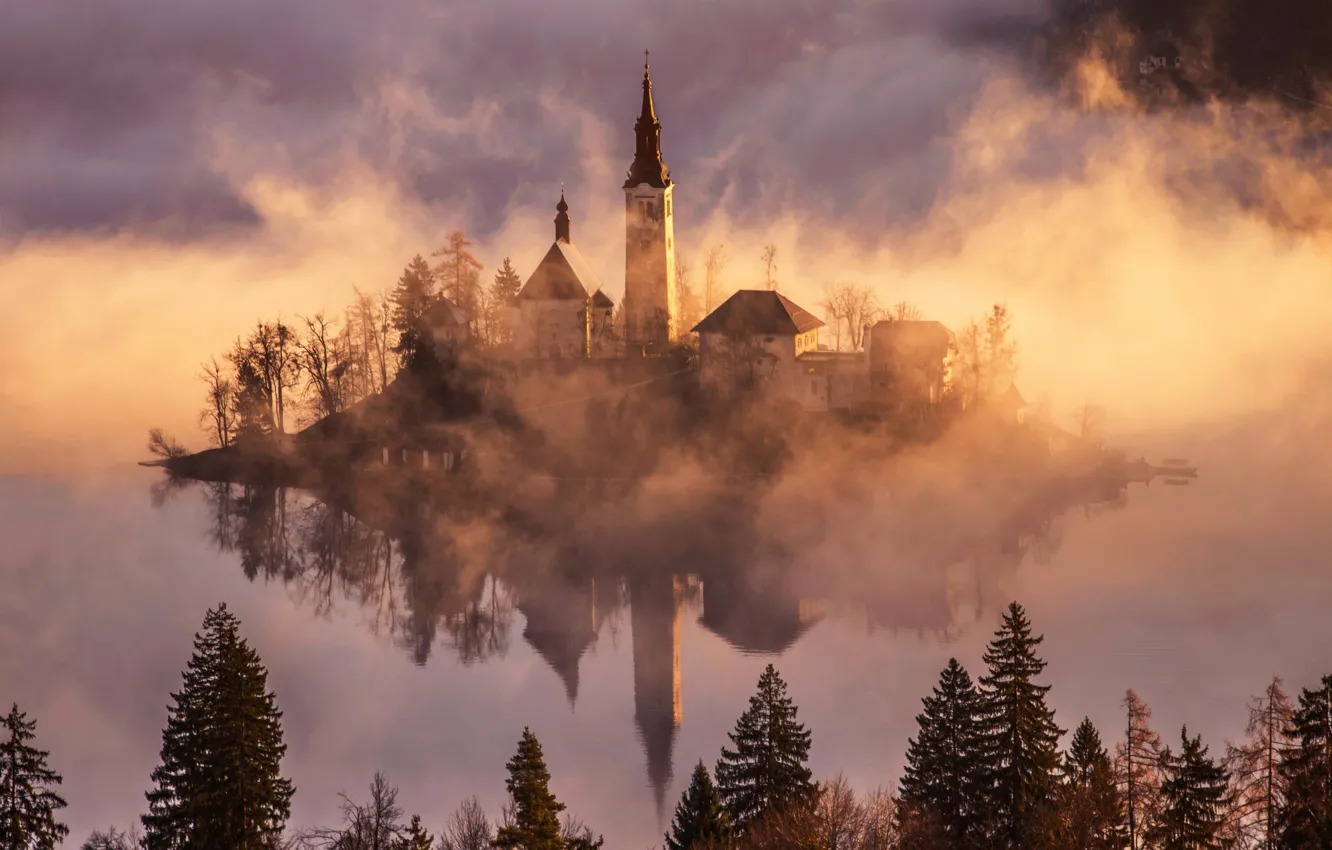 Photo wallpaper forest, light, fog, island, morning, Lake bled