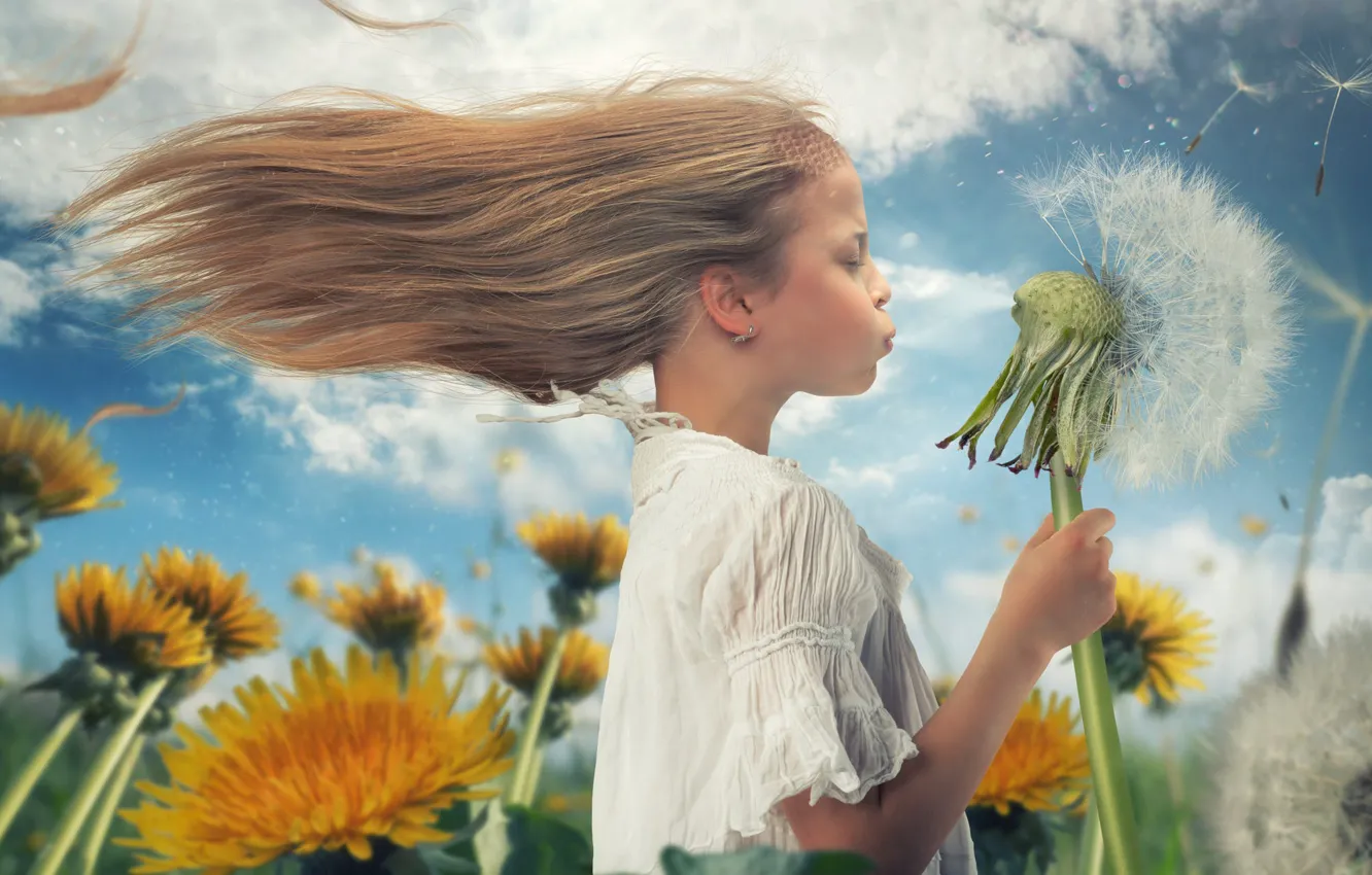 Photo wallpaper dandelion, girl, Dandelion self-defence
