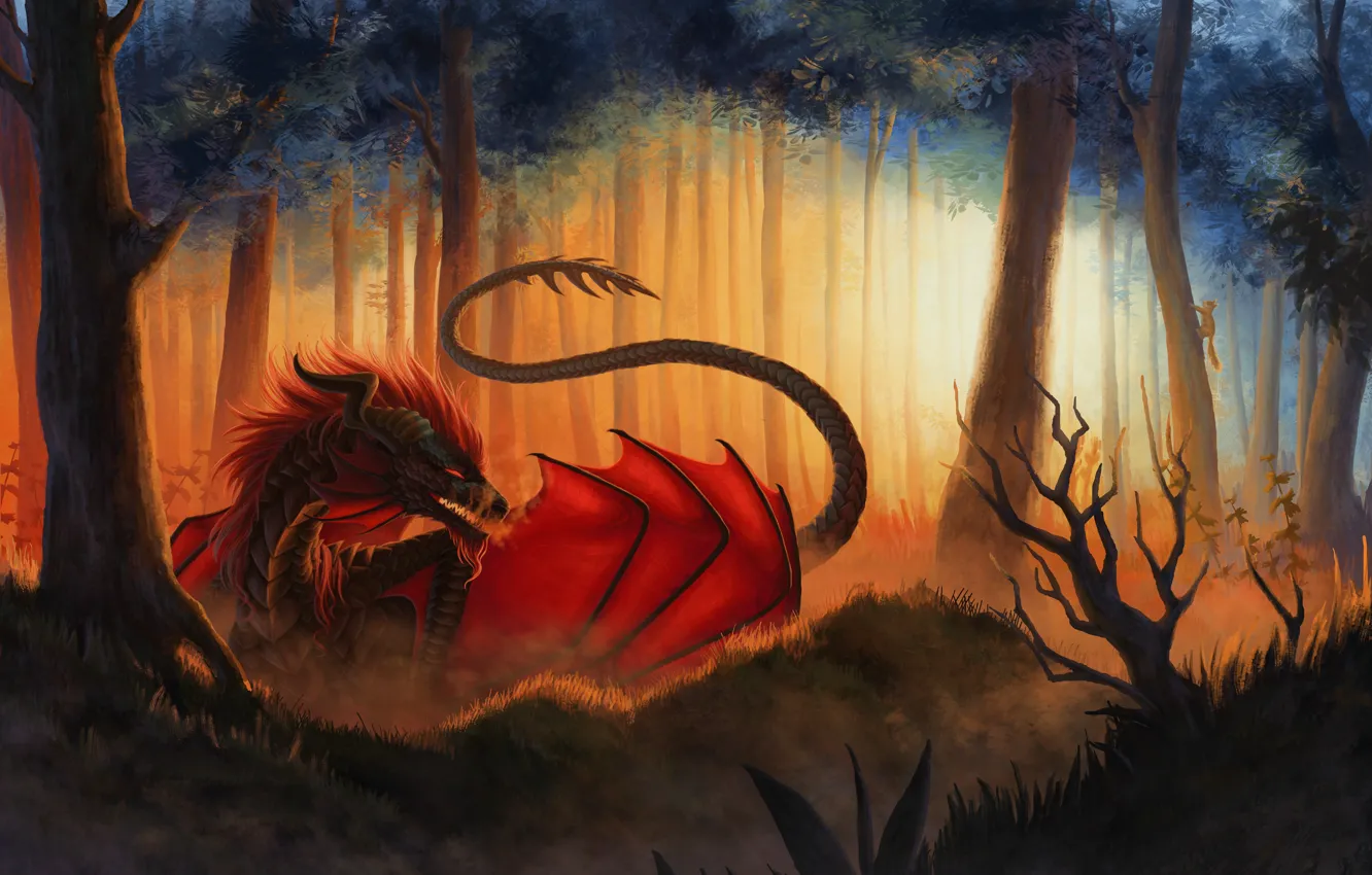 Photo wallpaper forest, look, trees, fiction, dragon, wings, art, mouth