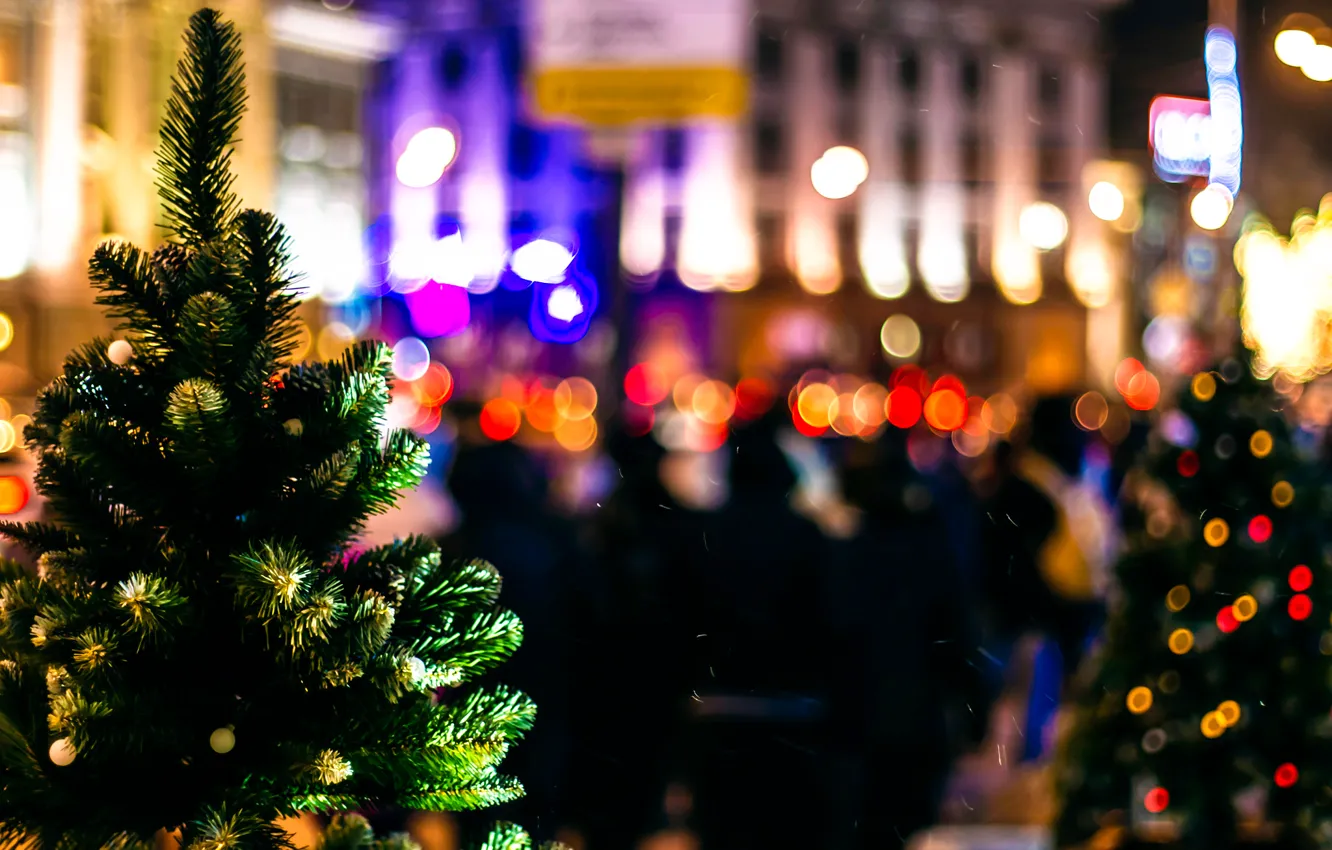 Photo wallpaper the city, lights, tree