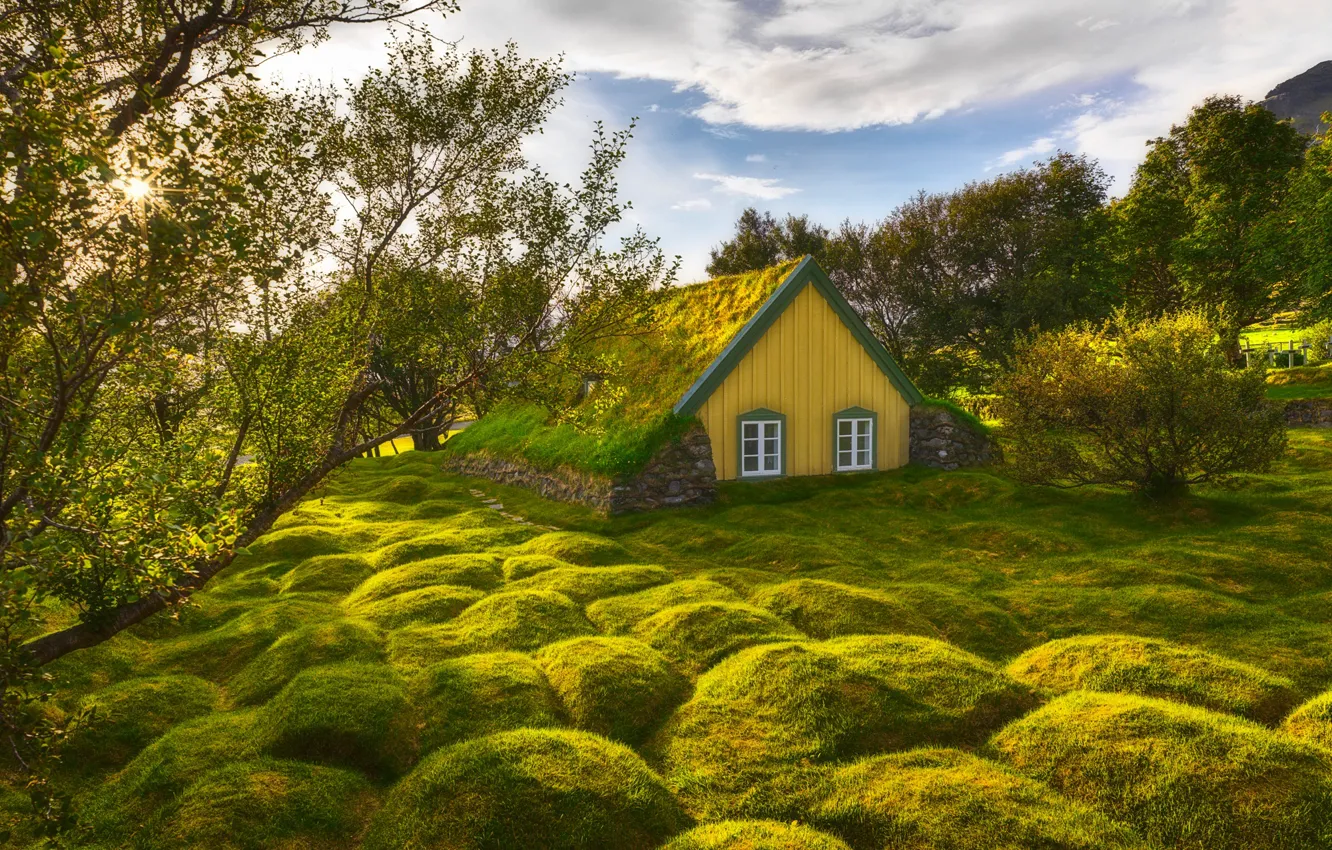 Photo wallpaper greens, the sky, grass, the sun, clouds, trees, house, Iceland