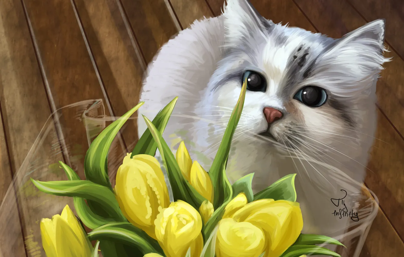 Photo wallpaper cat, bouquet, tulips