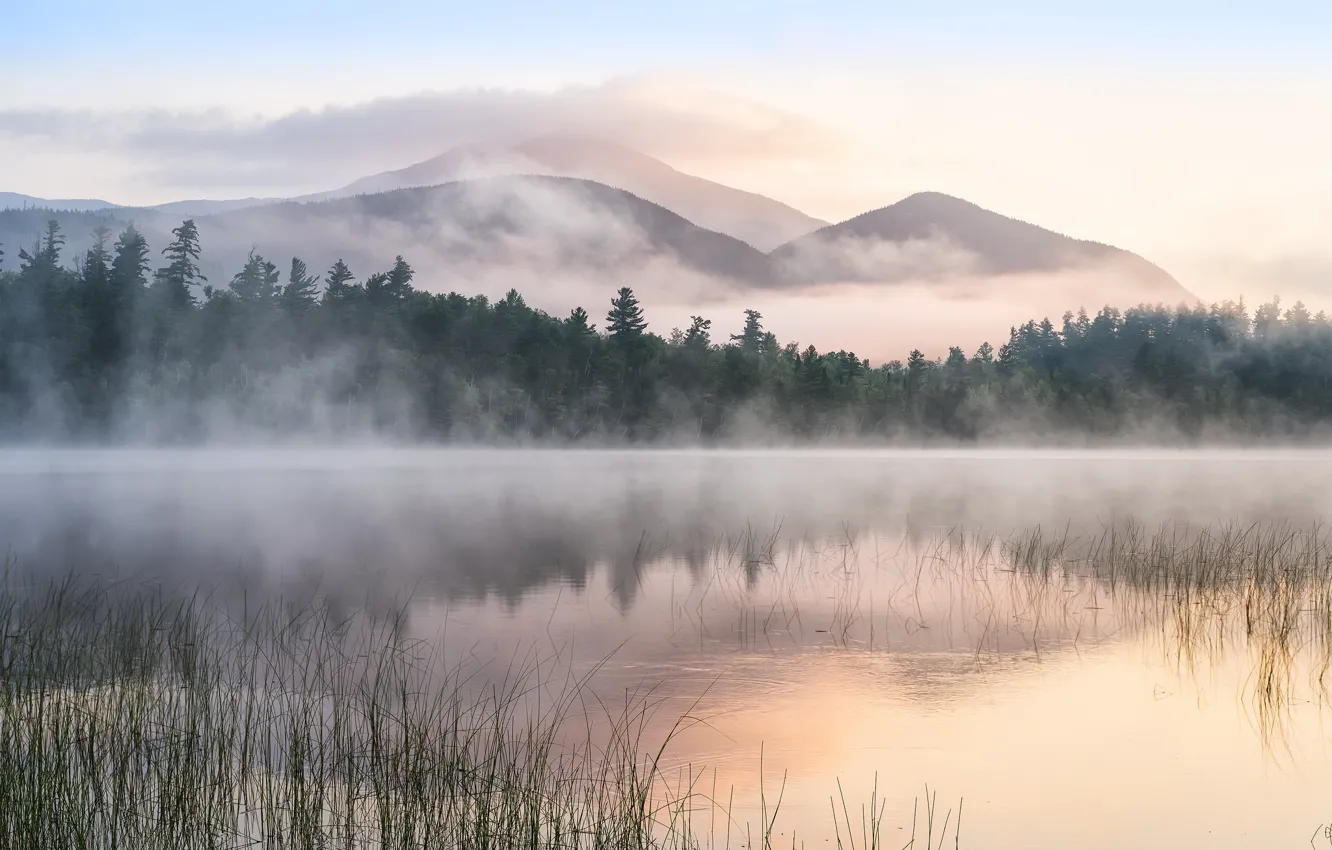 Photo wallpaper fog, lake, morning