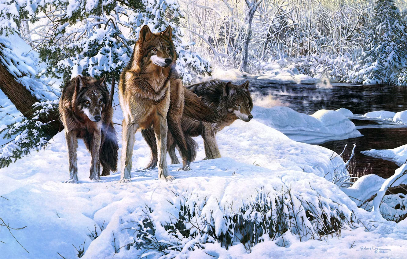 Photo wallpaper winter, forest, snow, river, art, wolves, Richard Luce