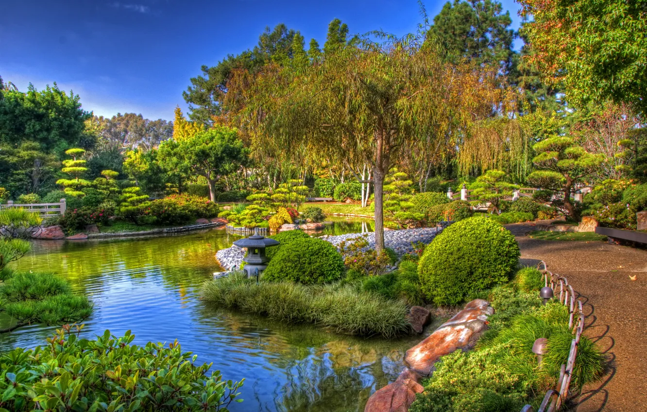Photo wallpaper trees, pond, garden, track, USA, flowerbed, the bushes, California