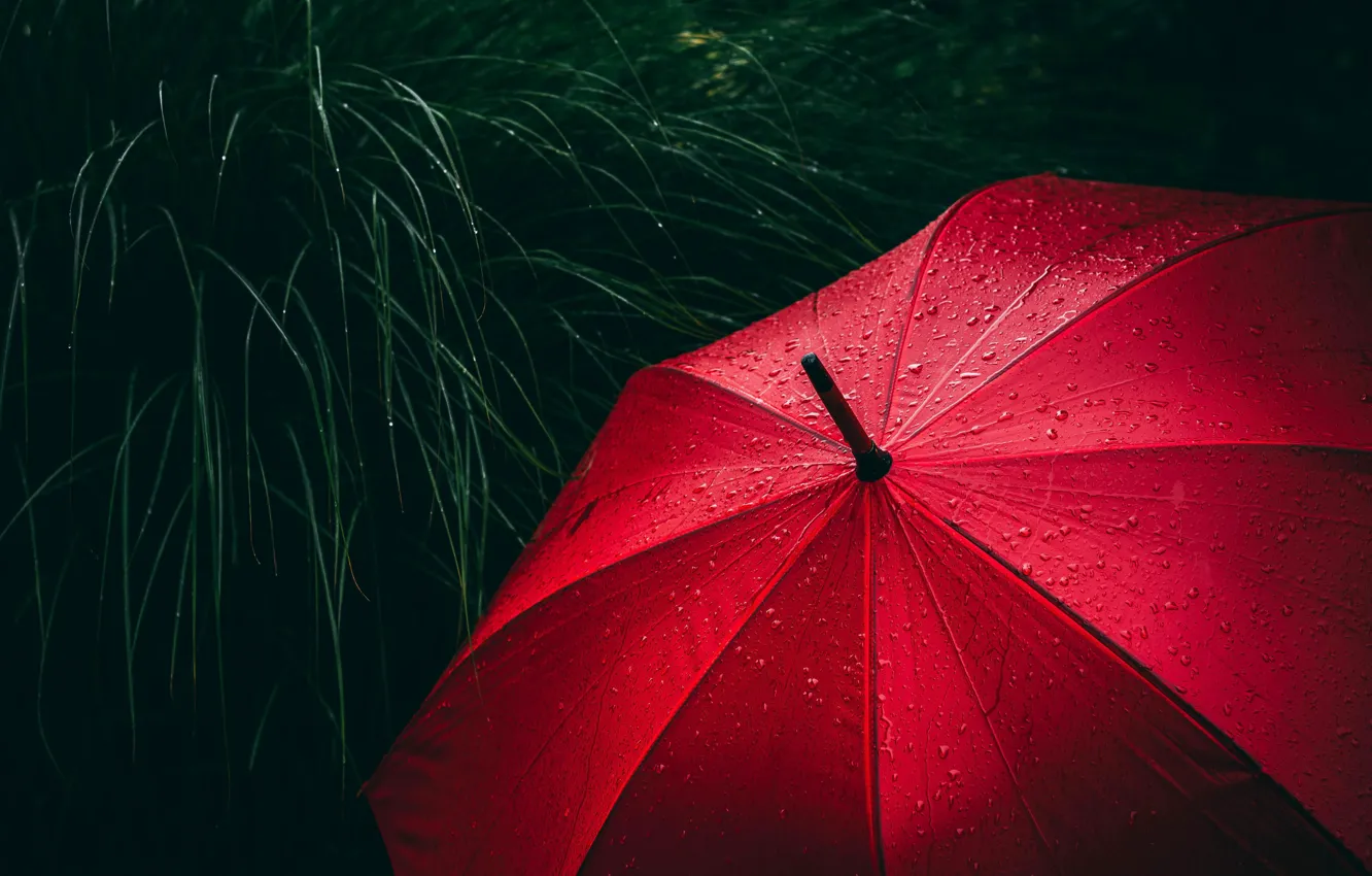 Photo wallpaper red, grass, rain, close-up, umbrella, water, macro, blur