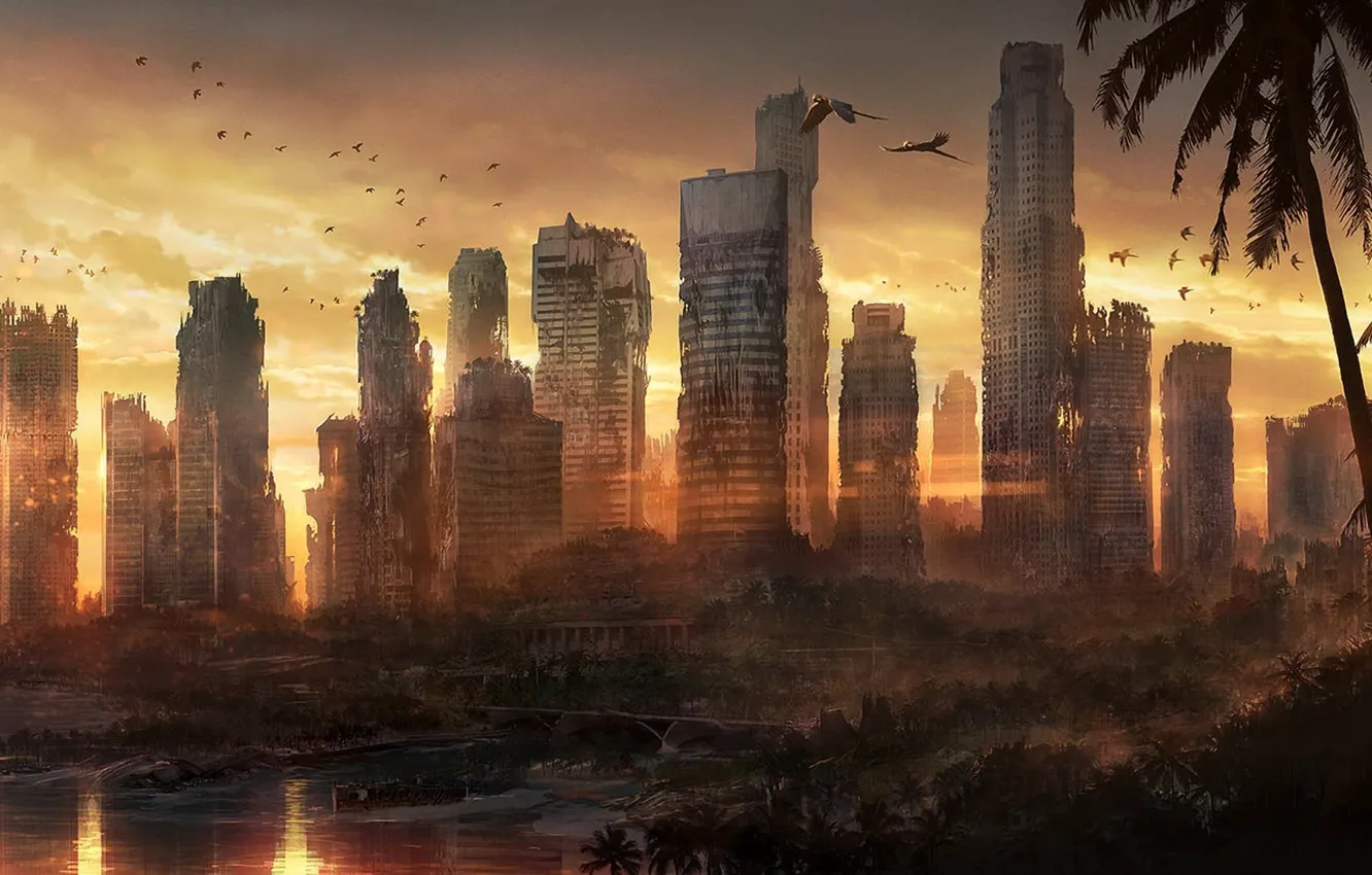 Photo wallpaper sea, sunset, the city, palm trees, bird, coast, building, art