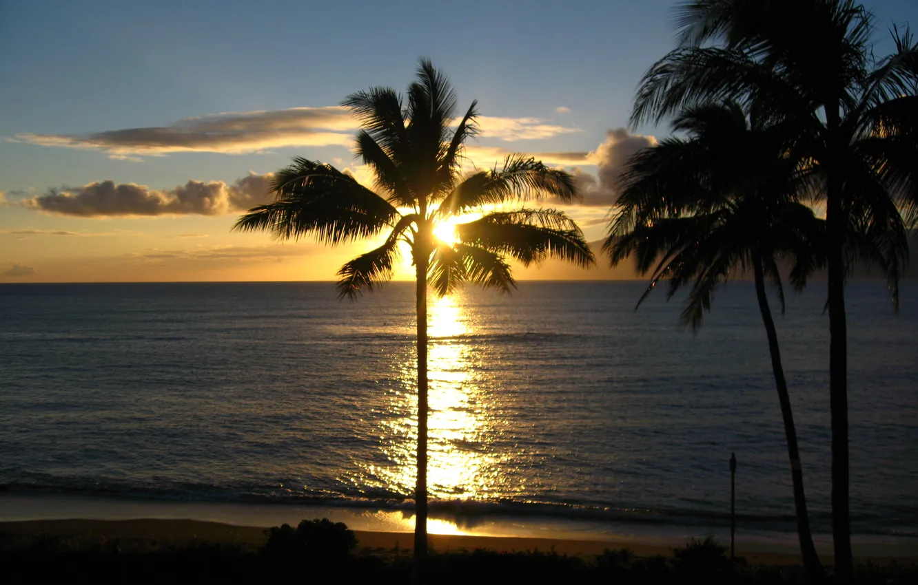 Photo wallpaper sunset, palm trees, the ocean, the evening, Hawaii