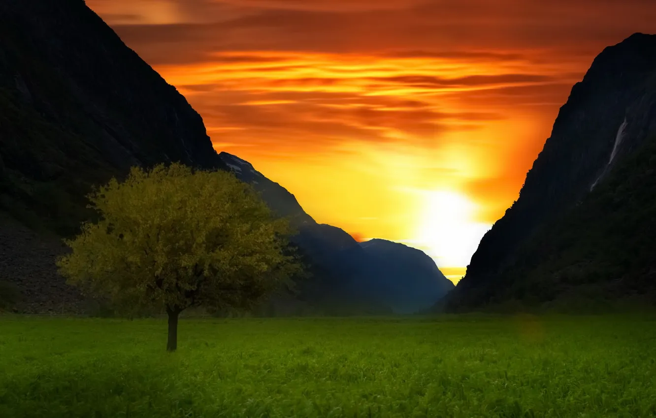 Photo wallpaper trees, sunset, mountains