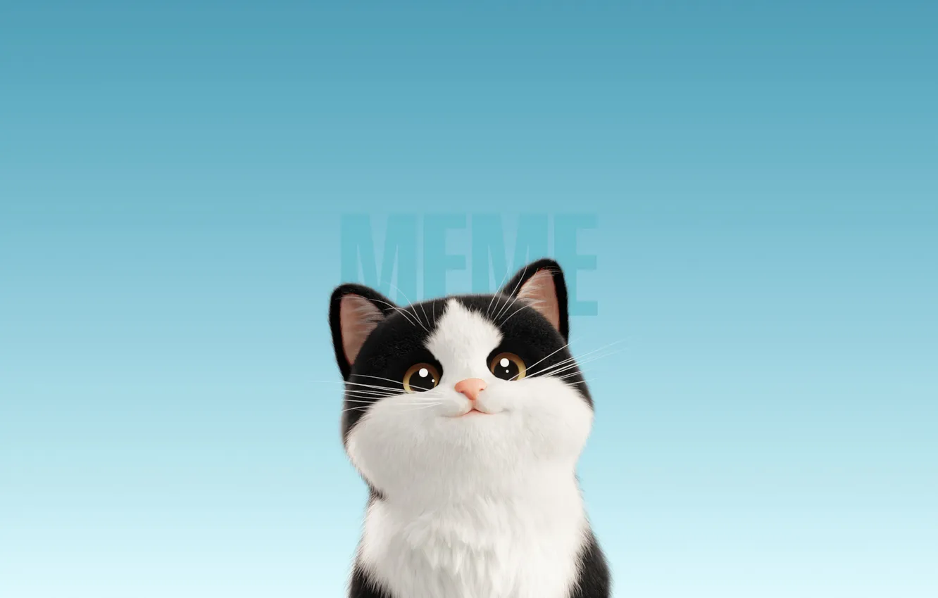 Photo wallpaper Meme, Cartoon, Cute Cat, Blue background