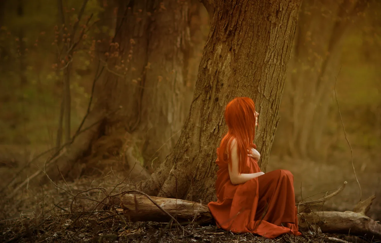 Photo wallpaper forest, girl, mood, color