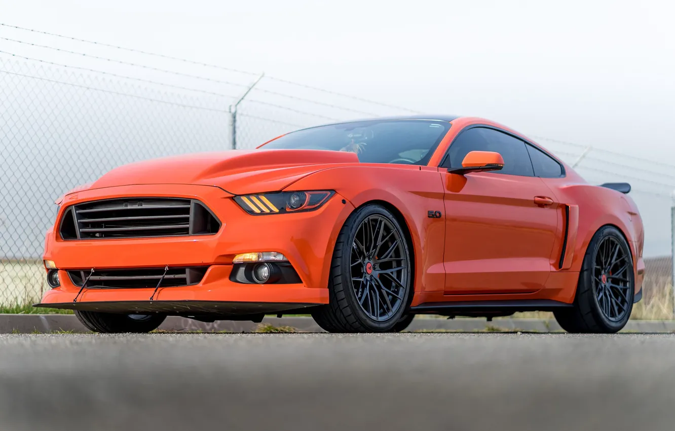 Photo wallpaper Mustang, Ford, Carbon, 107, Graphite, V-FF