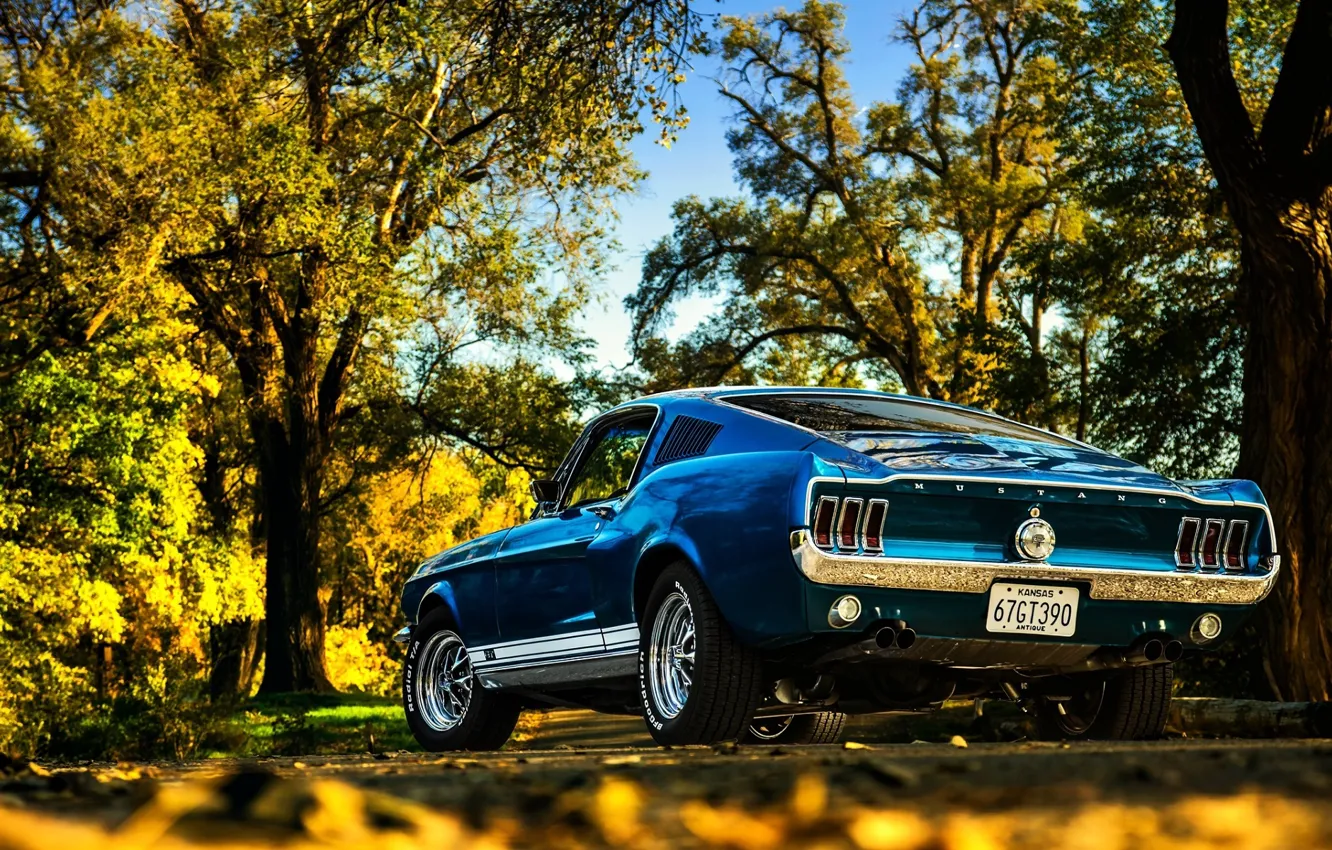 Photo wallpaper Mustang, Ford, Fall, Beautiful, Classic, Blue, Colorful, Fastback